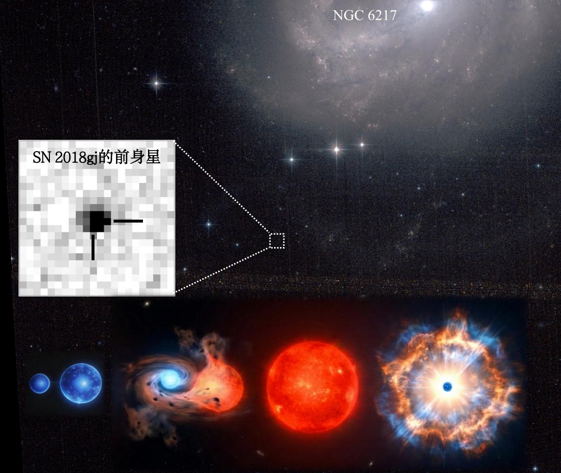 宁晨泽茜 202602科学通报 fig1 01